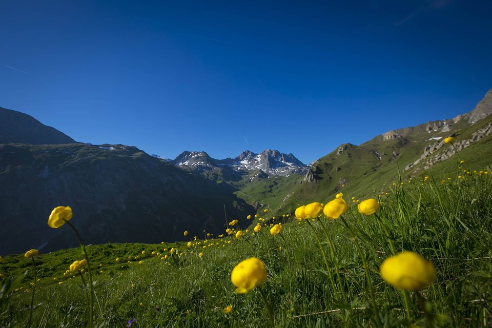 25-Explorez la vallée sauvage des Avals