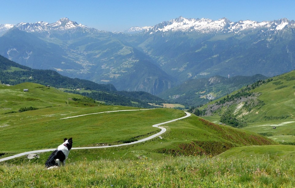Découverte à vélo des alpages de la vallée de Nâves