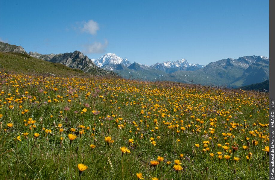 Le tour de l’Aiguille Grive