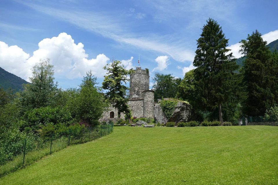 forêt de feisson