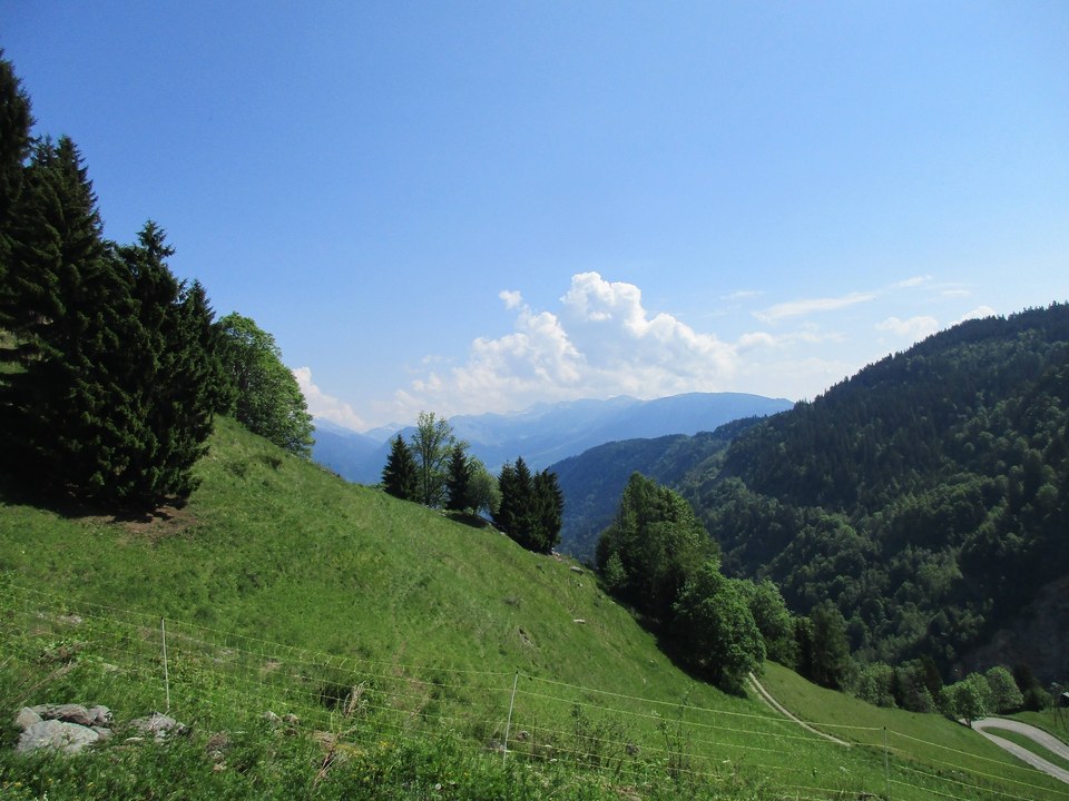 IMG_0716