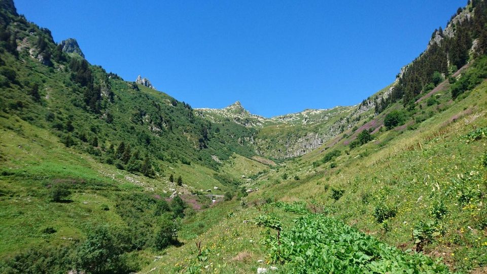 trail des pissus