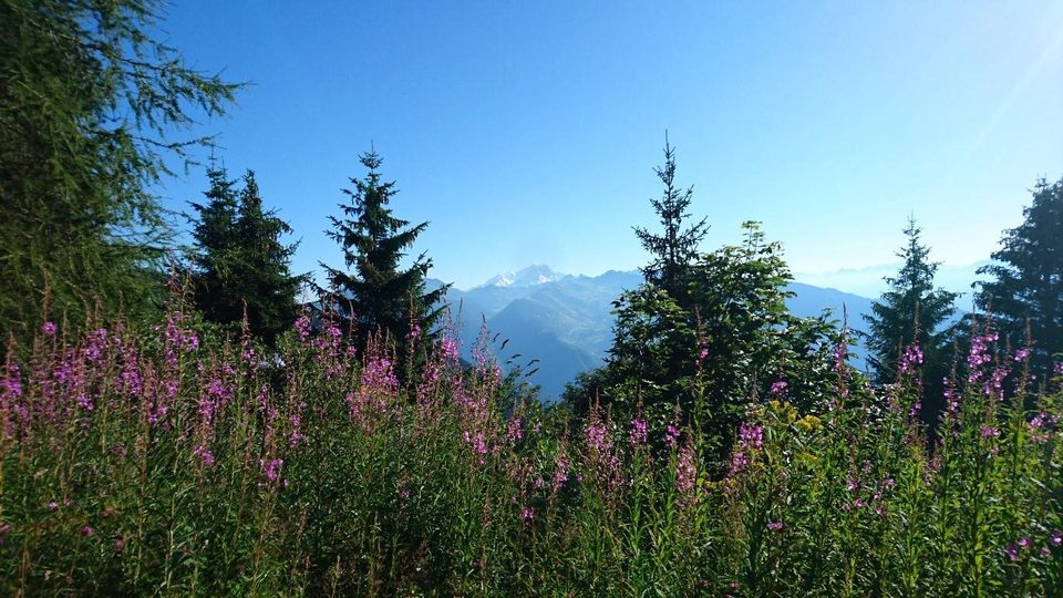trail des pissus