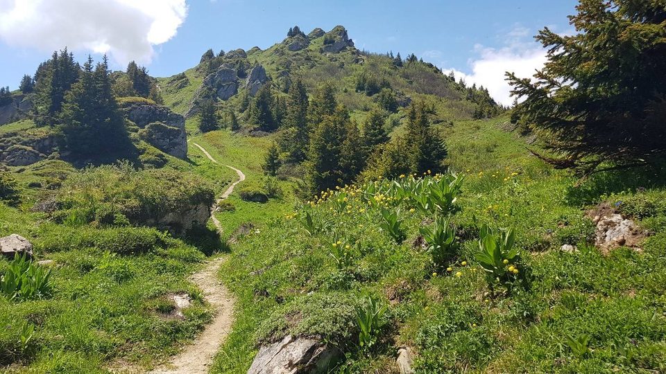 K.-V. de Crève Tête