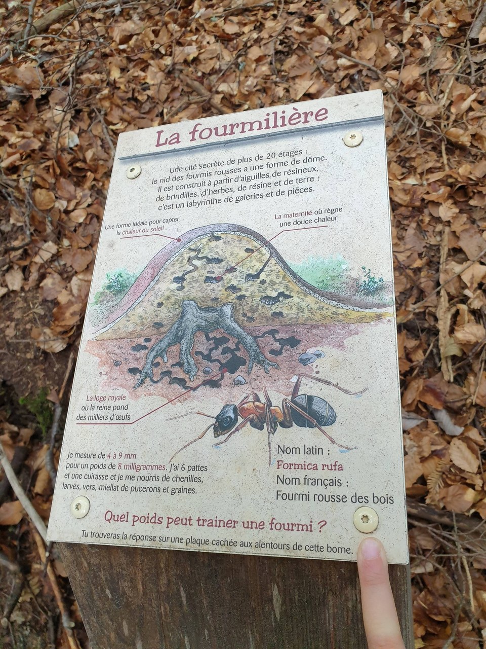 Sentier thématique