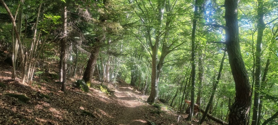 Le sentier