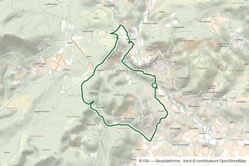 A travers la forêt du Bessillon