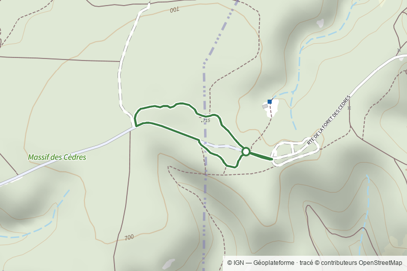 Chemin des Cèdres