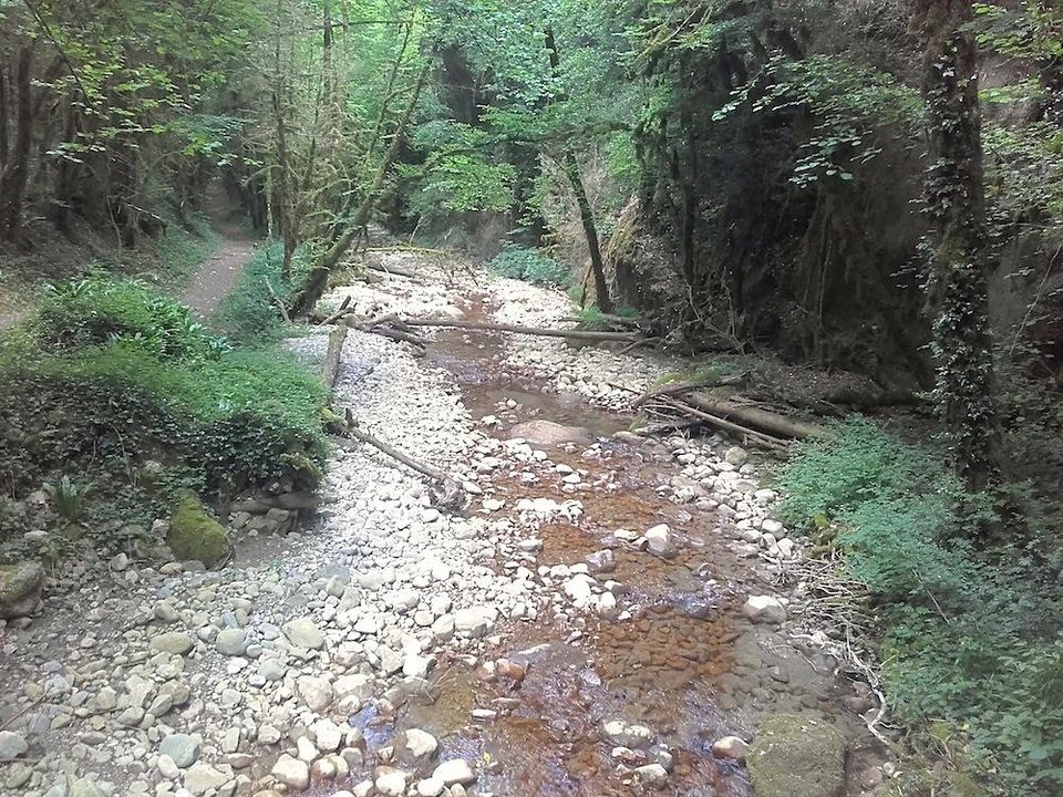 La Lyonne en forêt