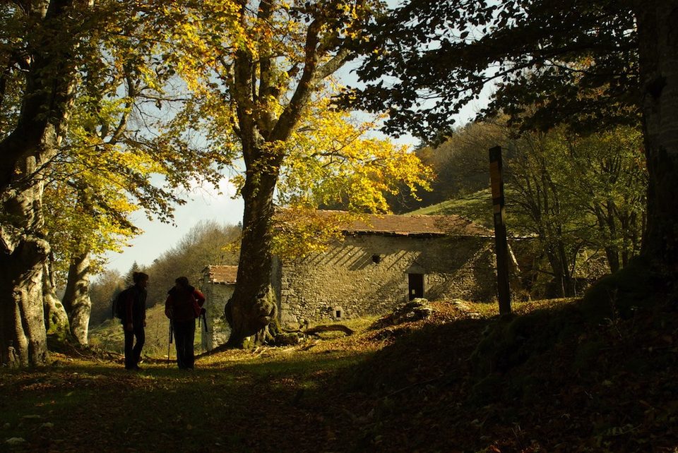 Gampaloux - Forêt de Comblezine