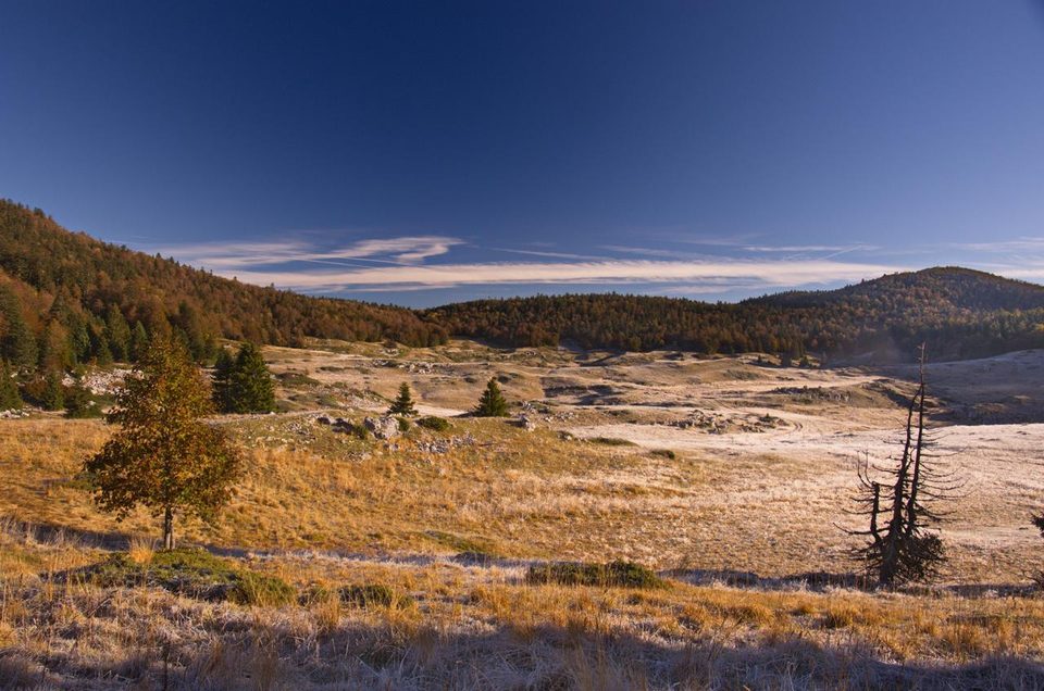 Prairie d'Herbounouse