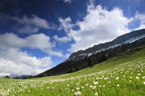 Le vallon de Combeau