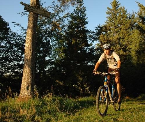 vtt_justin_n15-1
