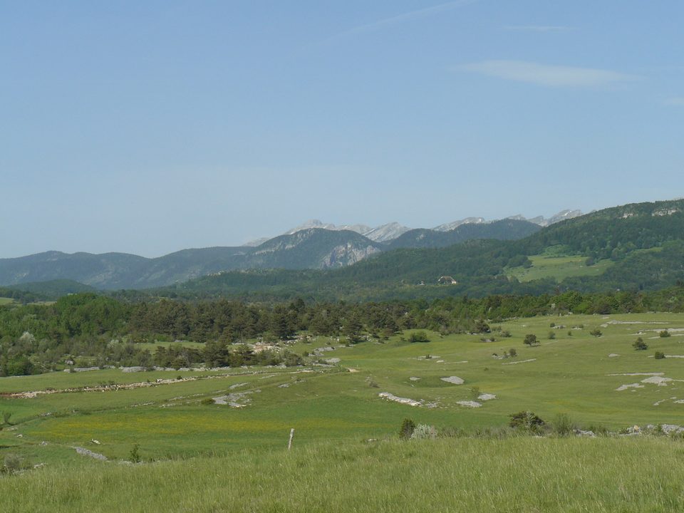 Sentier dans le plaine de Vassieux