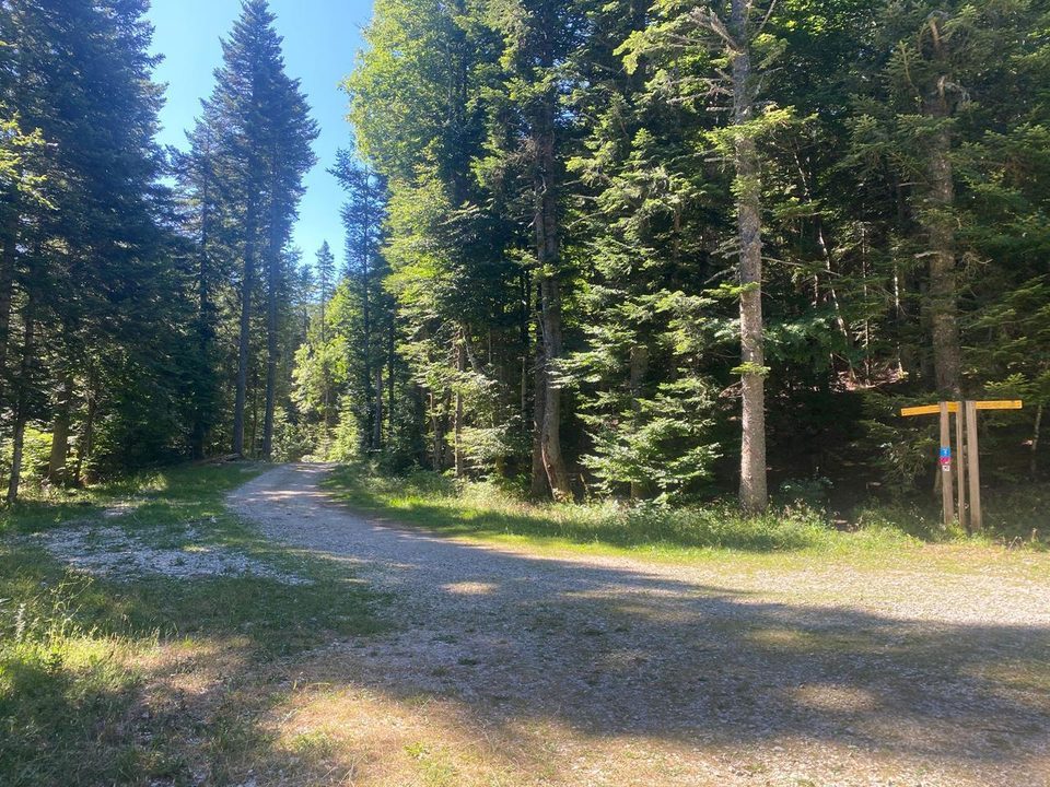 Carrefour de Pré Pansu
