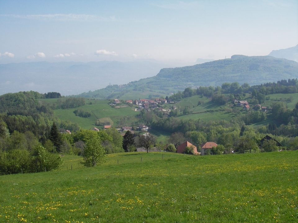 IMGP0015