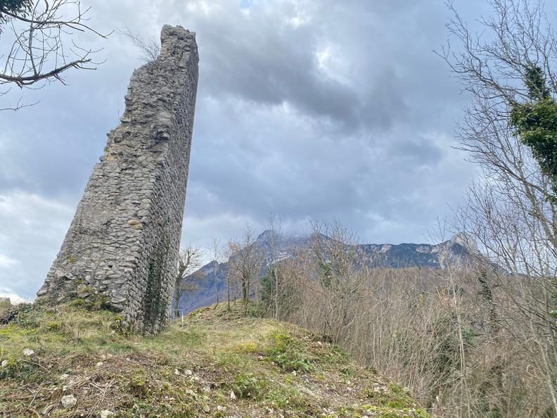 La tour sans venin