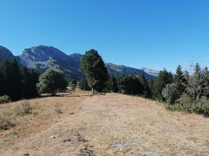 Les Allières, sentier du canyon