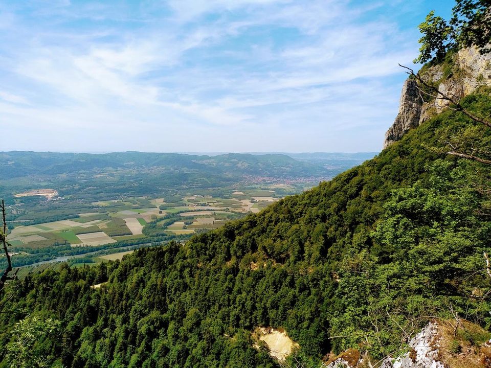 Le sentier des essences forestières (Pied Frais)