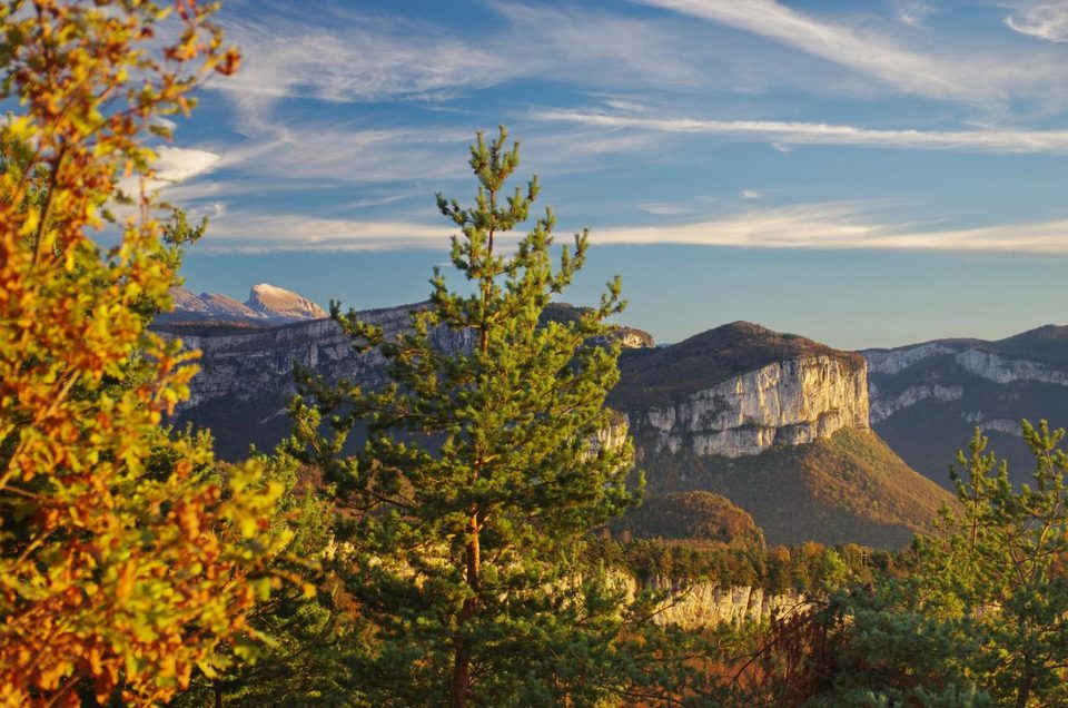 Serre cocu