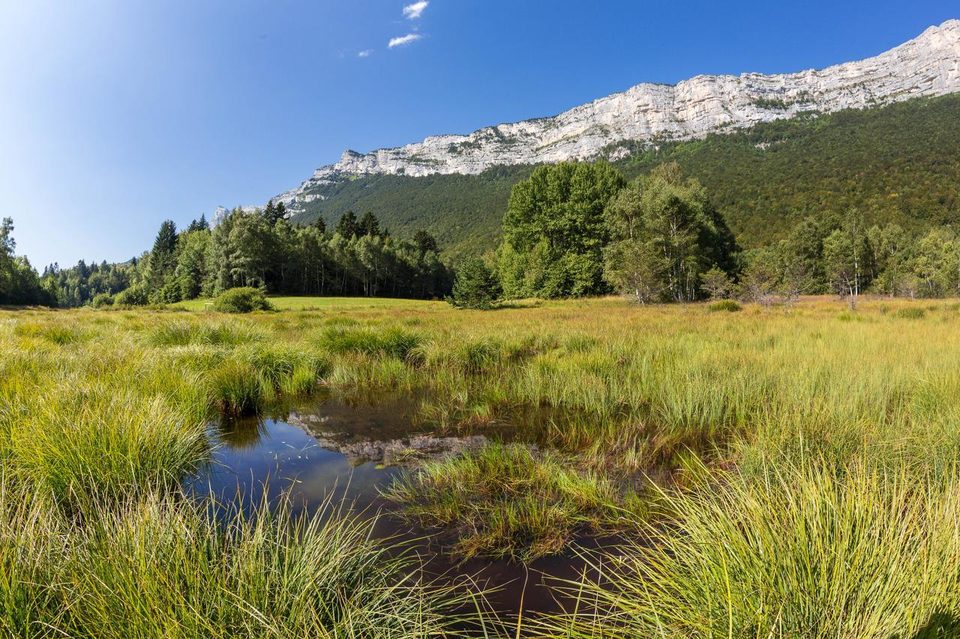 Immersion nature ENS Vercors Isèrois