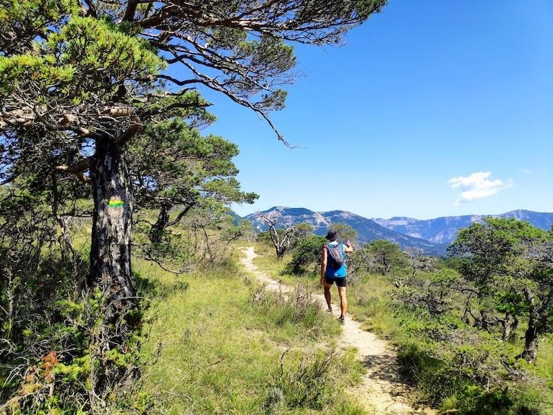 Bordure méridionale du Vercors©FFRandonnée 26