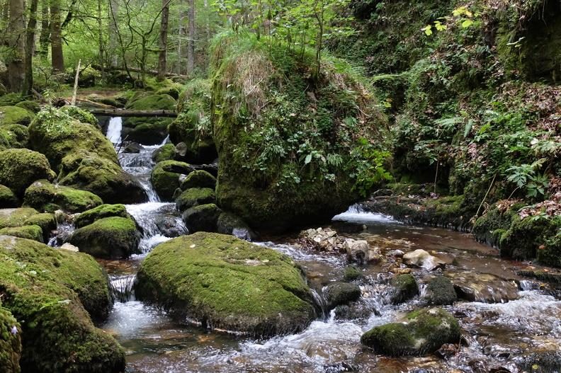 Le vallon du Bruyant