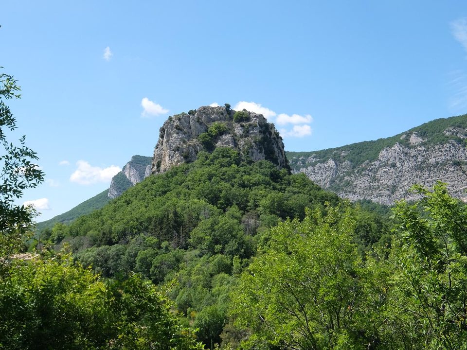 DSCF6837
