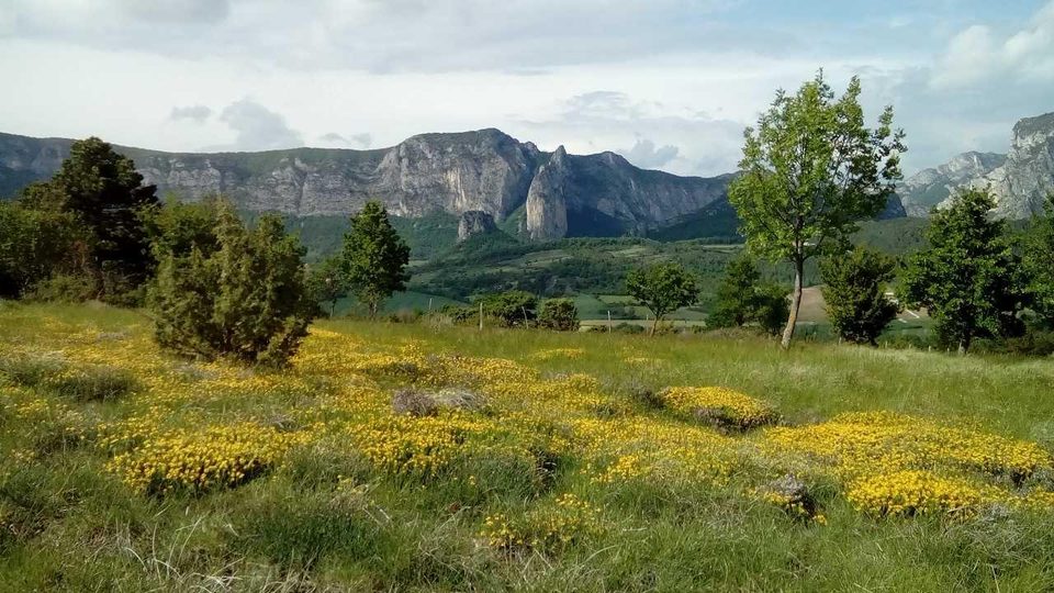 Le Grand Quinson