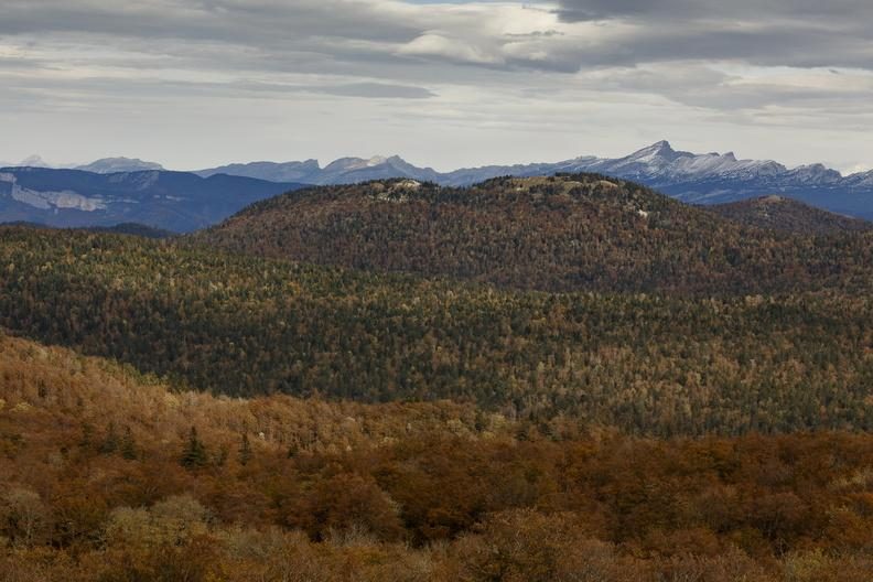 La Combe du Brudour