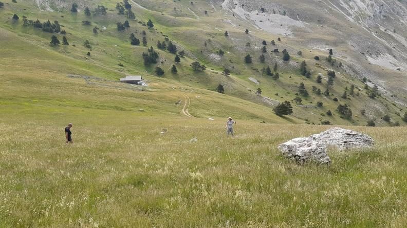 Alpage du Jocou
