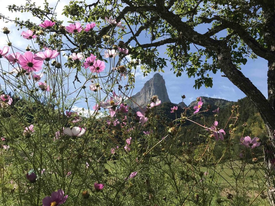 Rando famille : les facettes du Mont Aiguille