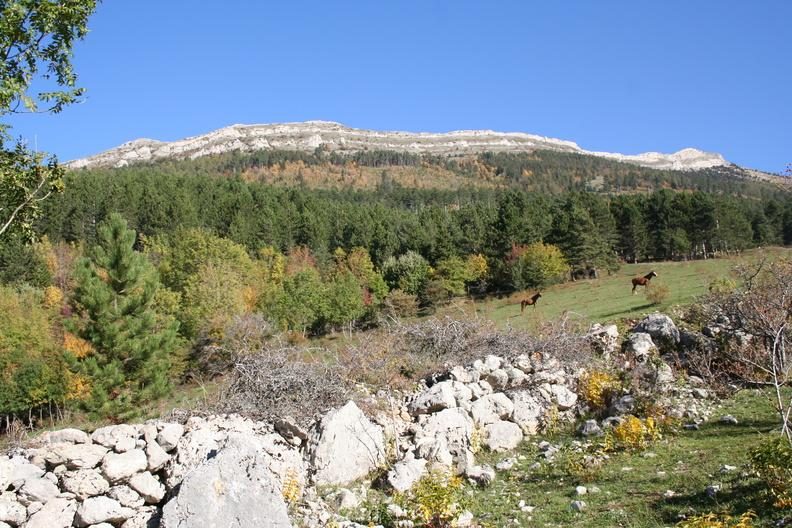 Autour du Jocou