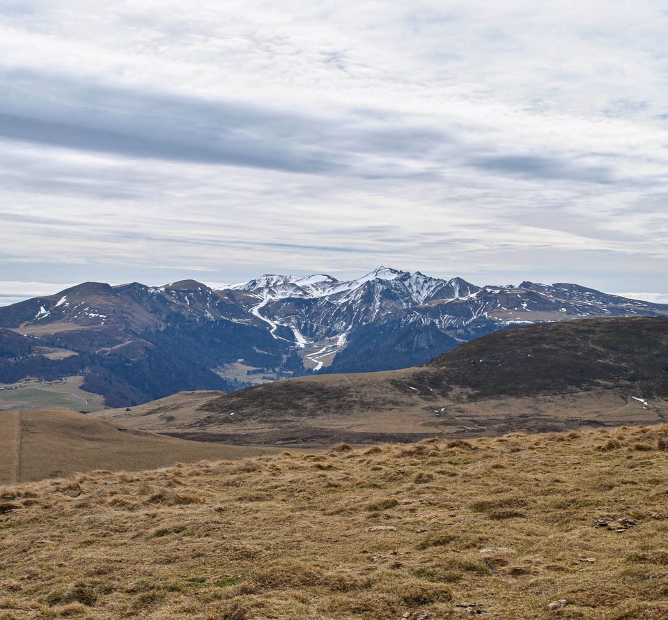 2DSC_0153_Parc naturel régional des volcans d'Auvergne_light