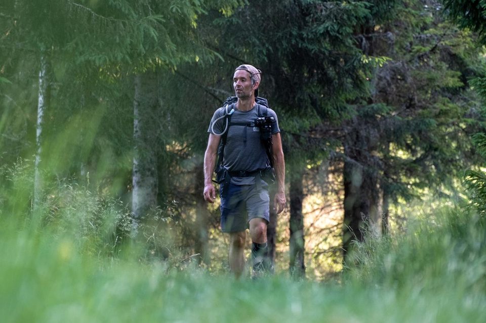 D'Allanche à Chalinargues par le Bois de la Pinatelle (étape 1 de l'itinérance Découverte intime du Cézallier)
