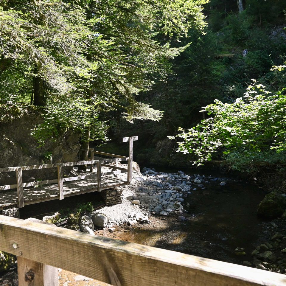 Passerelle au dessus de l'Alagnon