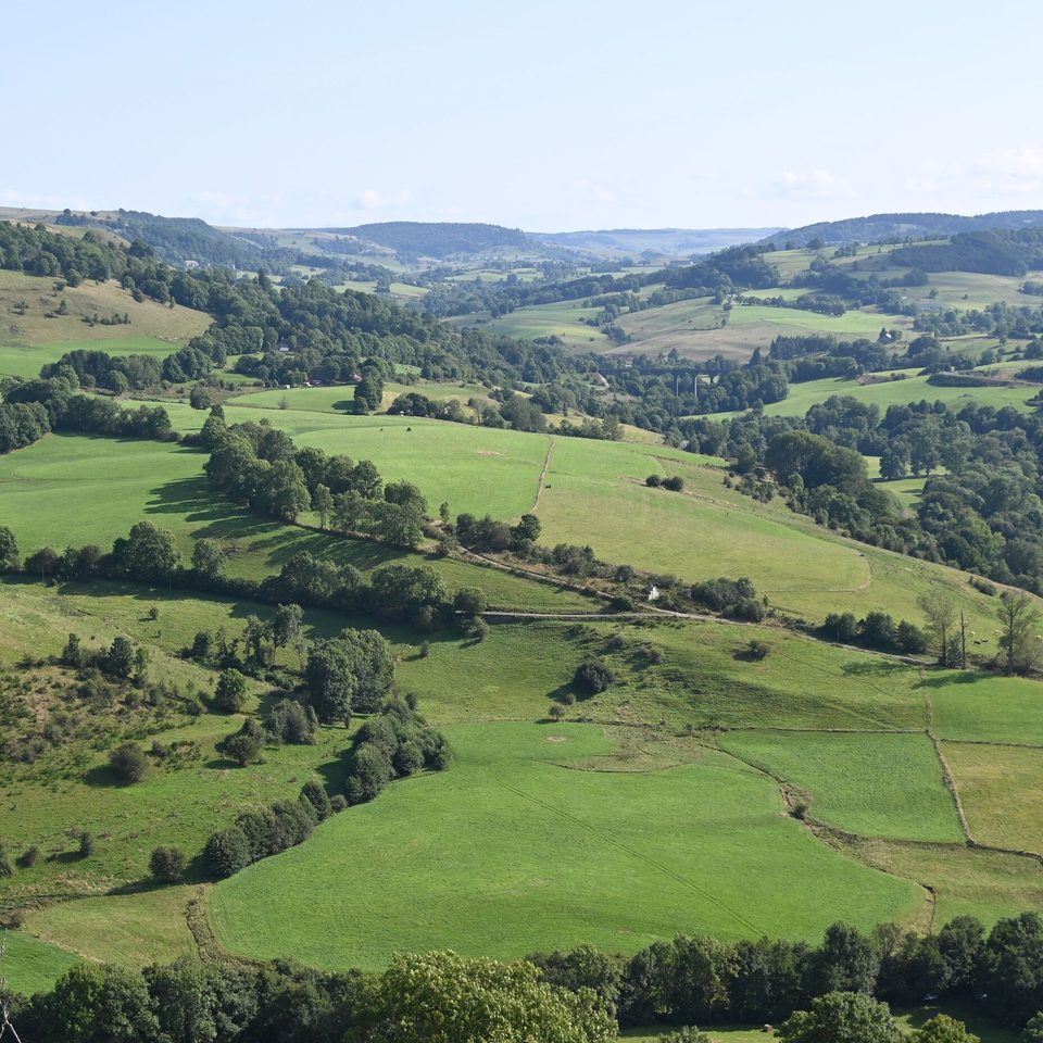 Point de vue depuis les orgues volcaniques