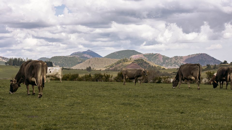 Puy de Combegrasse et narse d'Espinasse
