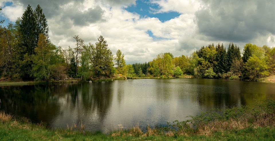 Etang de Mérigot