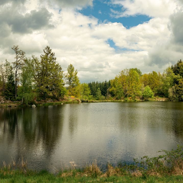 Etang de Mérigot