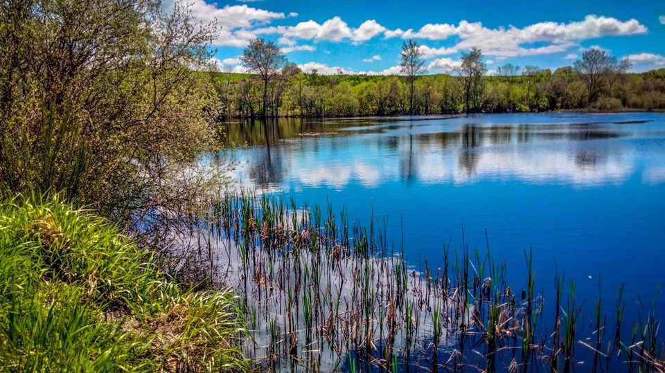 Etang des Bondes