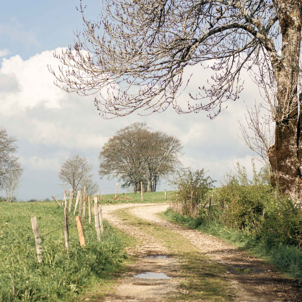 Panorama de Haute-Serre