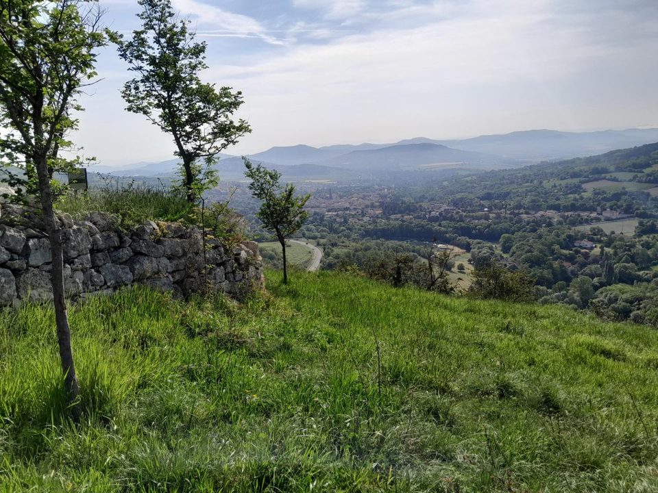 Montépo