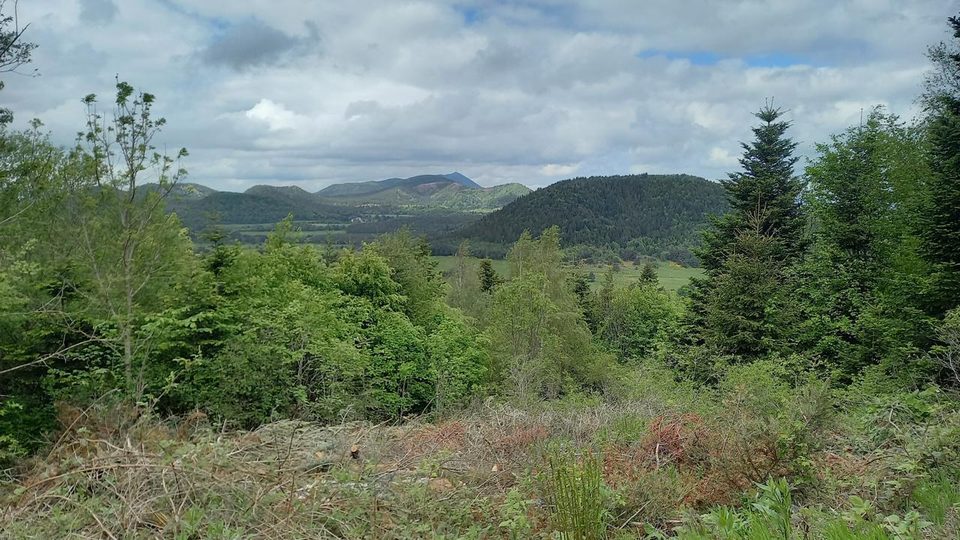 Puy de la Rodde (Aydat)