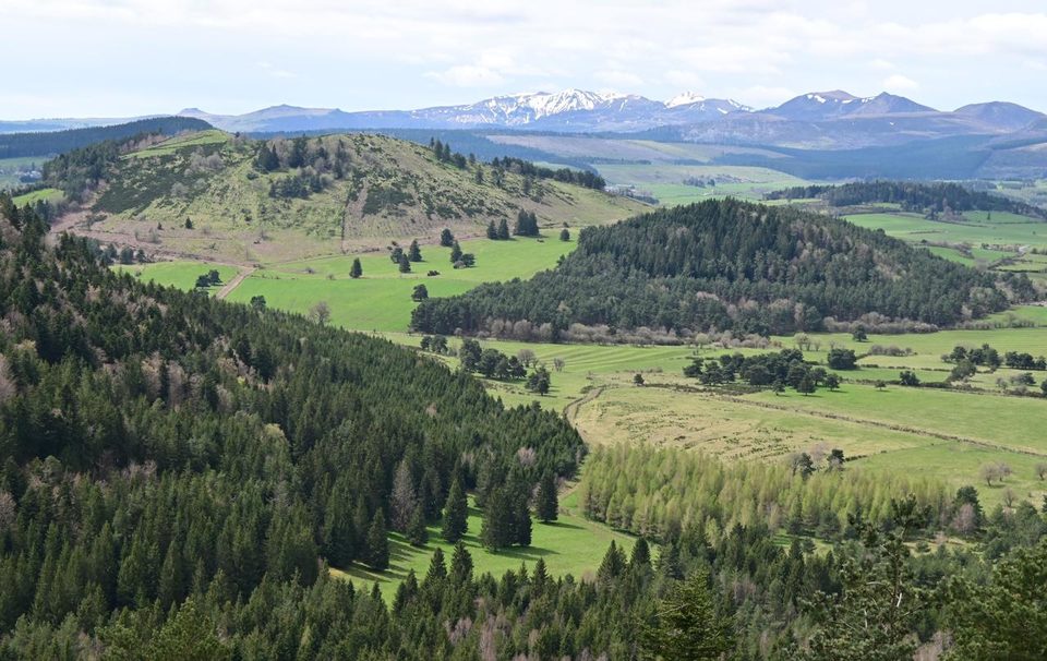 Puy de Vichatel (depuis le col de la Ventouse)
