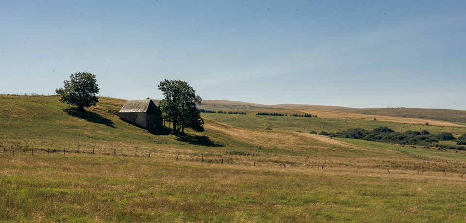 DSC_1803-Panorama