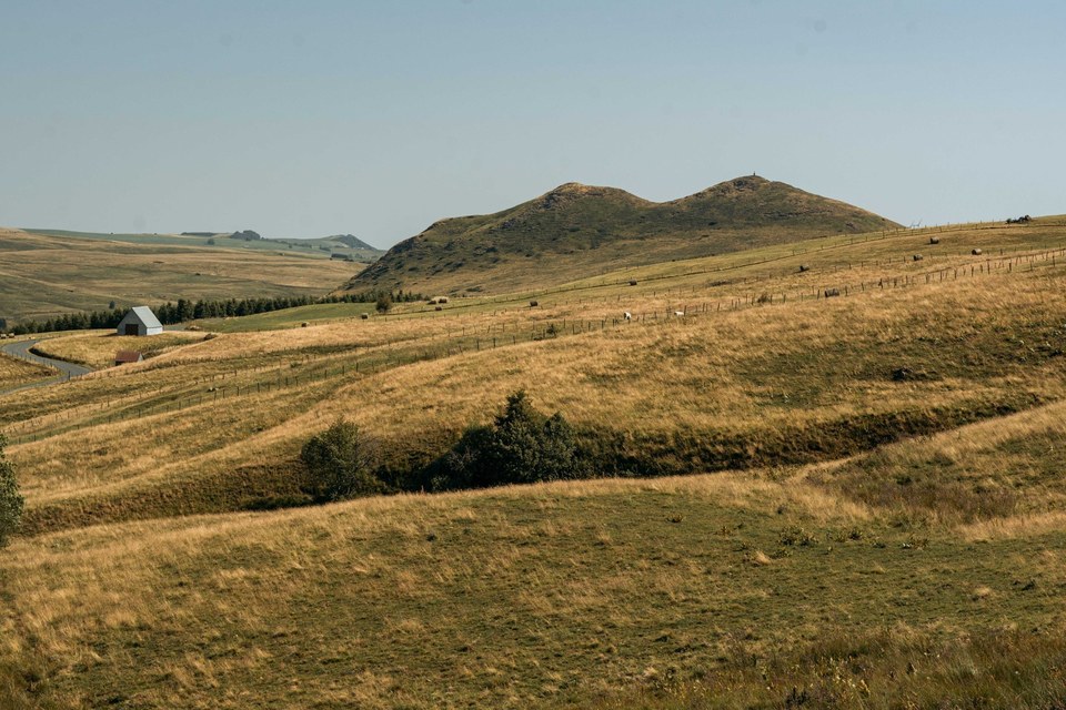 DSC_1901