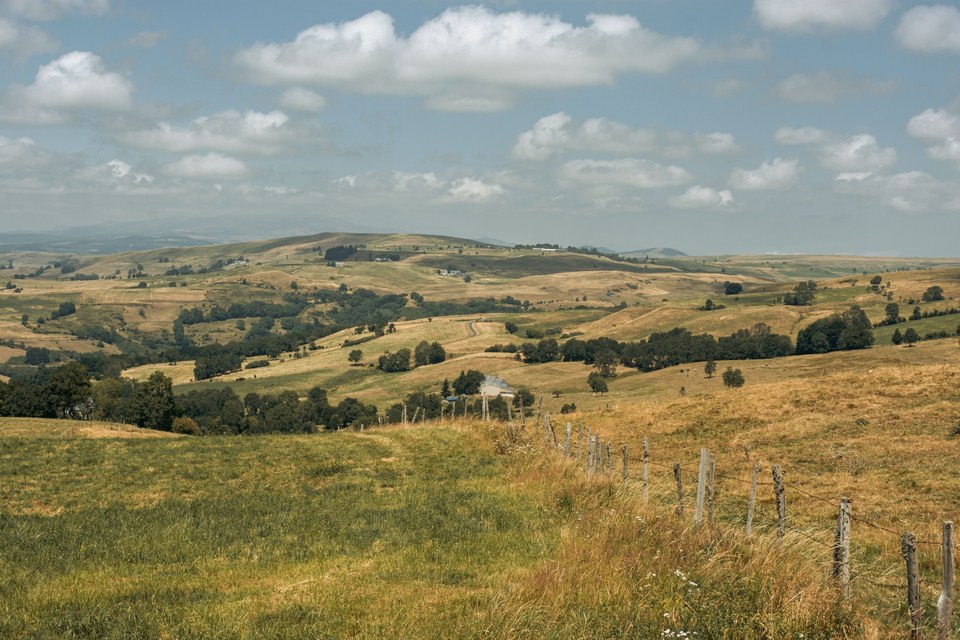 DSC_2361