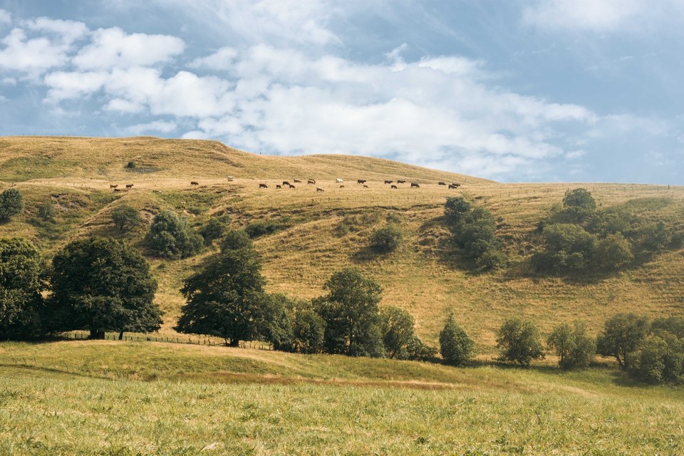 De Marcenat à Montgreleix (étape 7 du Tour des Vaches Rouges)