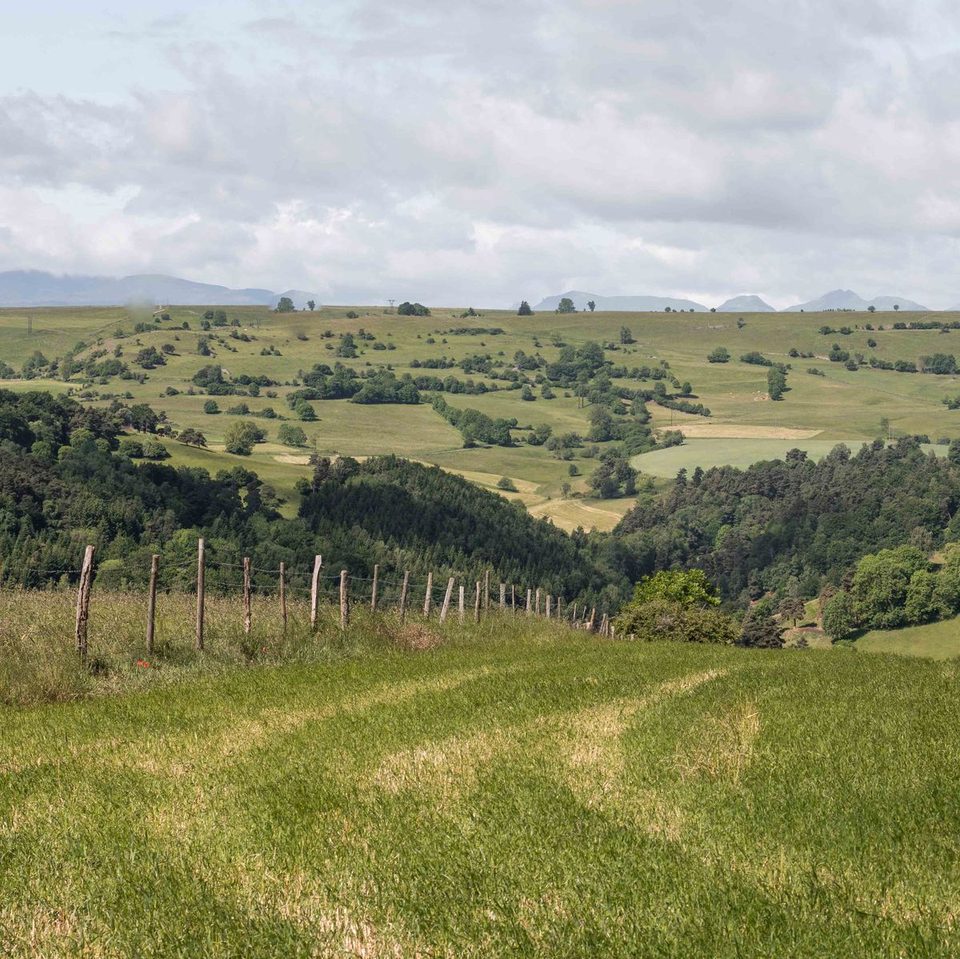 Au loin les Monts du Cantal